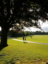 Sunny day in the park