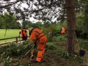 High-viz works trim the branches of one of the parks trees