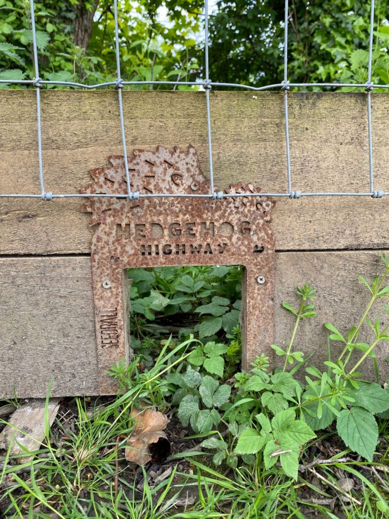 A small cutout gate in a fence with hedgehog highway written above it.