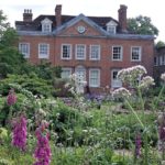Park House Sensory Garden in bloom