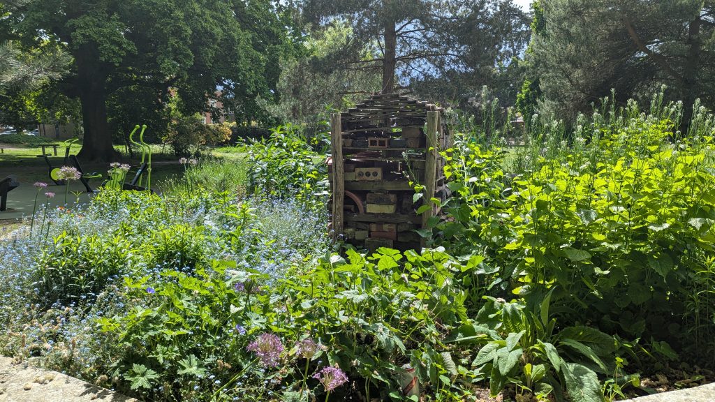 Bee bed and Bug hotel