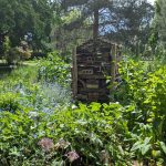 Bee bed and Bug hotel