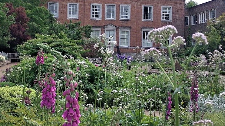 Park House Sensory Garden in bloom