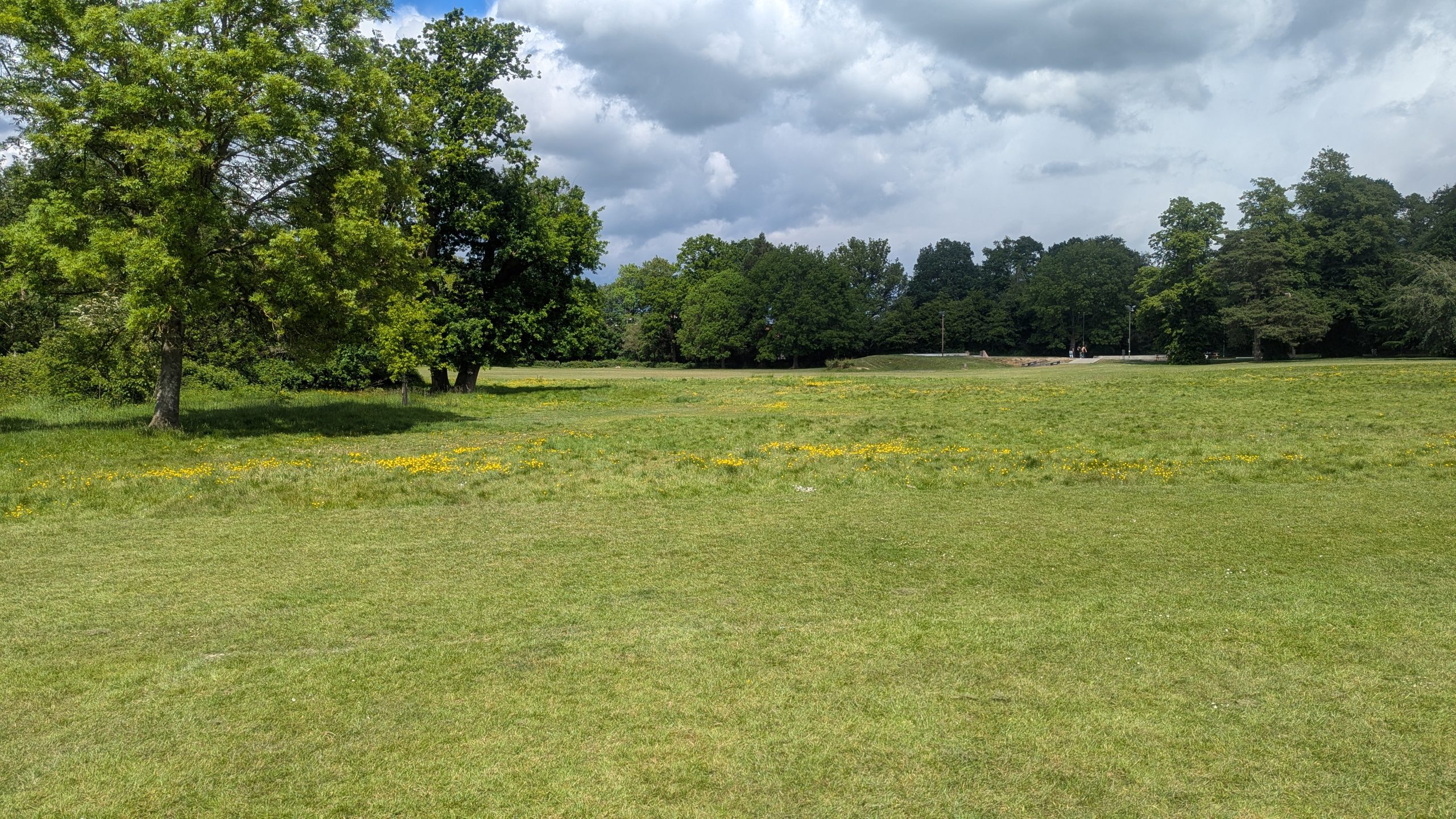 The meadow with longer grass and wild flowers.