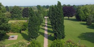 Avenue of Beams
