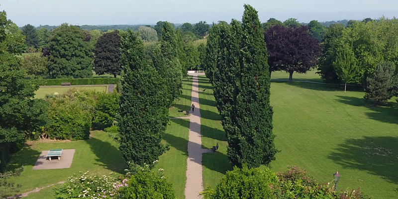 The avenue of oaks viewed from Park House