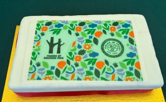 A square cake iced with the new Friends of Horsham Park logo and assorted icons.